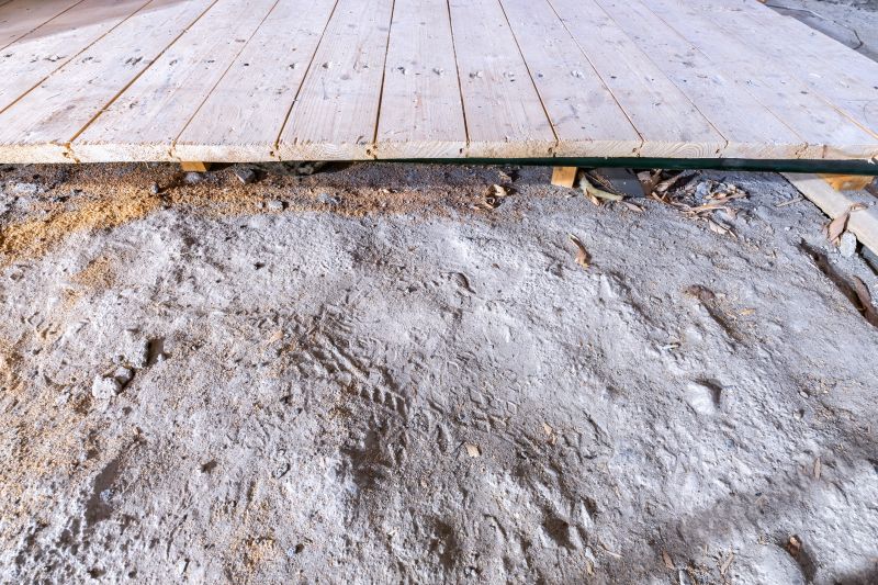 Subfloor Demolition